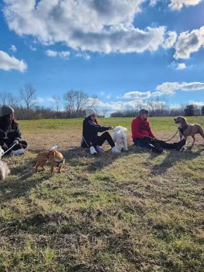 The Legacy Pavilion Picnic Area - Arlington, TX