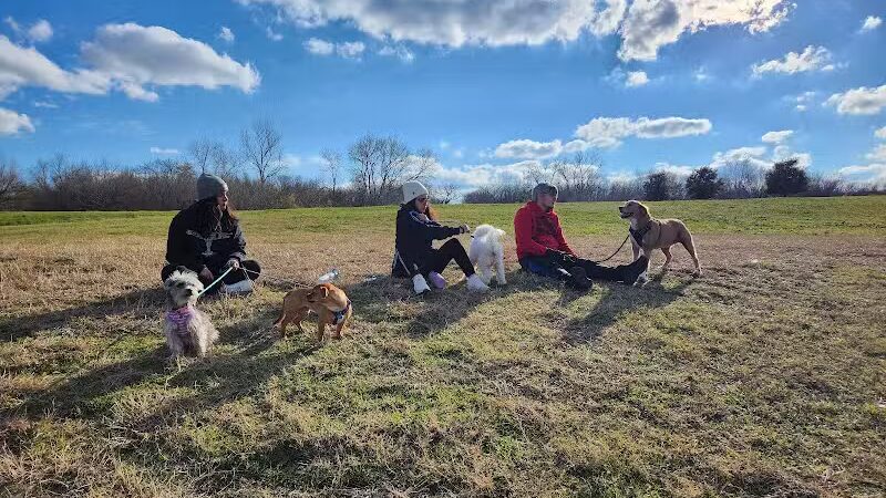 The Legacy Pavilion Picnic Area - Arlington, TX