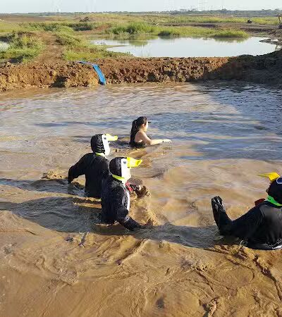 Tribute Park - Arlington, TX