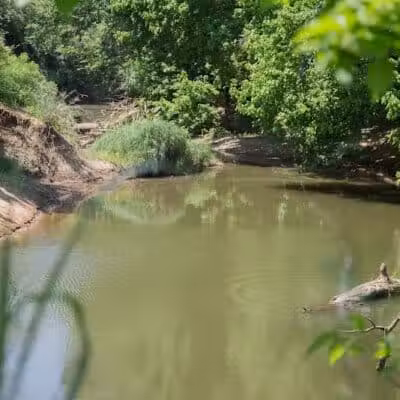 Village Creek Natural Area - Arlington, TX