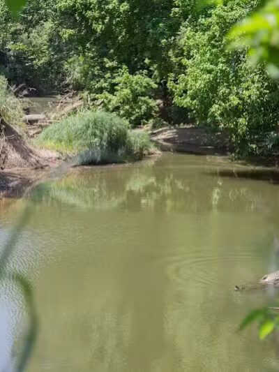 Village Creek Natural Area - Arlington, TX
