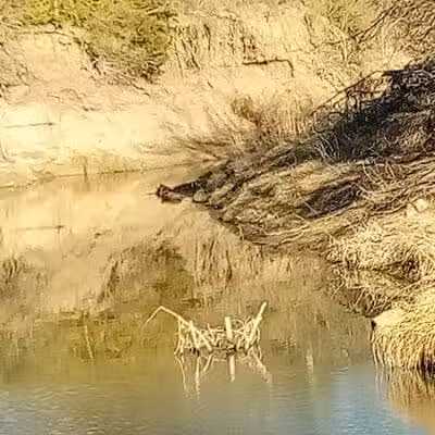 Village Creek Natural Area - Arlington, TX