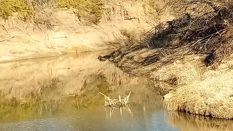 Village Creek Natural Area - Arlington, TX
