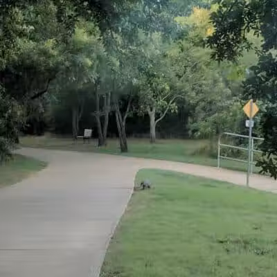 Village Creek Natural Area - Arlington, TX