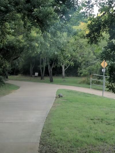 Village Creek Natural Area - Arlington, TX