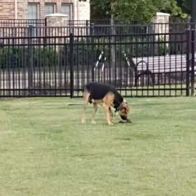 Arrowhead Park - Arlington, TX