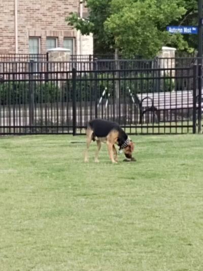 Arrowhead Park - Arlington, TX