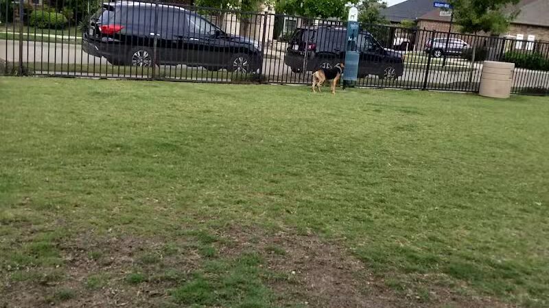 Arrowhead Park - Arlington, TX