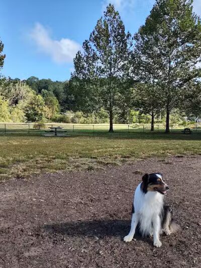 Azalea Road Dog Park - Asheville, NC