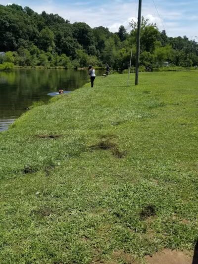 Azalea Road Dog Park - Asheville, NC