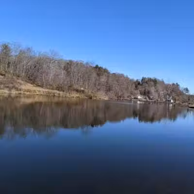 Azalea Road Dog Park - Asheville, NC