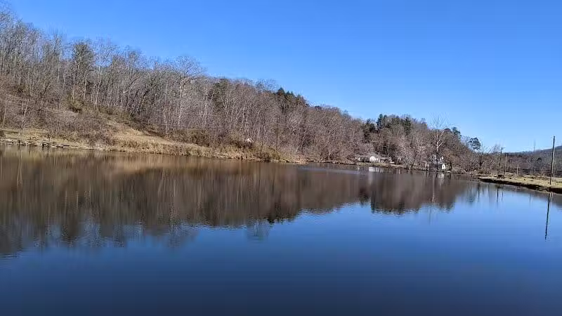 Azalea Road Dog Park - Asheville, NC