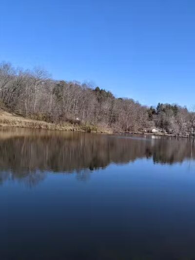 Azalea Road Dog Park - Asheville, NC