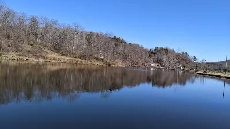 Azalea Road Dog Park - Asheville, NC