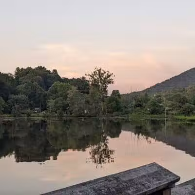 Azalea Road Dog Park - Asheville, NC