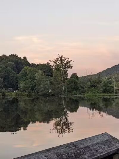 Azalea Road Dog Park - Asheville, NC