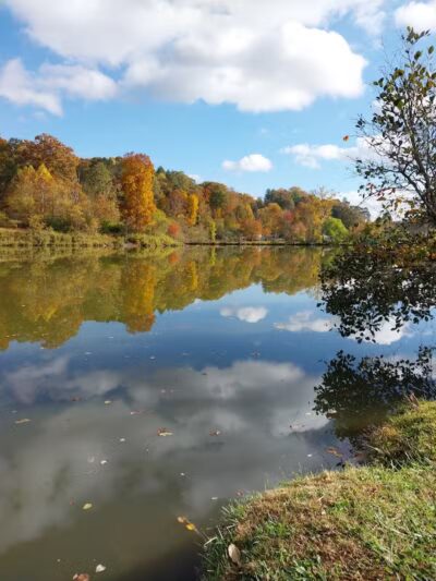 Azalea Road Dog Park - Asheville, NC