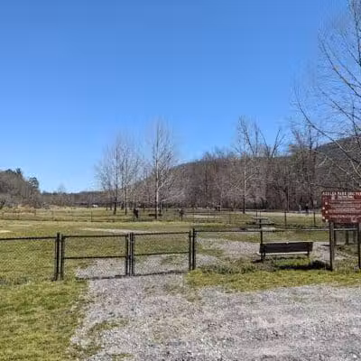 Azalea Road Dog Park - Asheville, NC