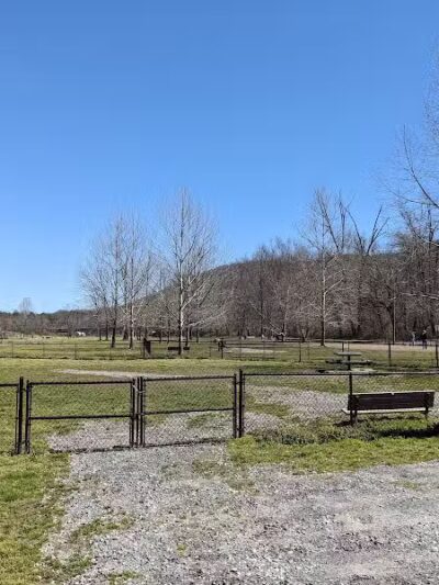 Azalea Road Dog Park - Asheville, NC