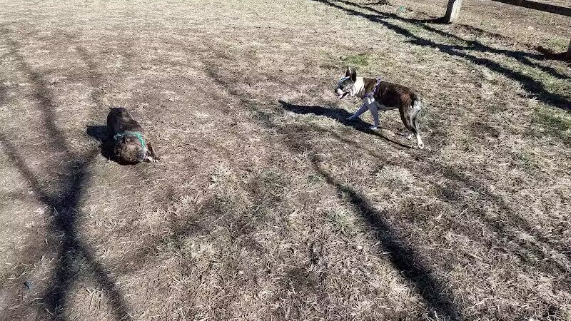 Azalea Road Dog Park - Asheville, NC