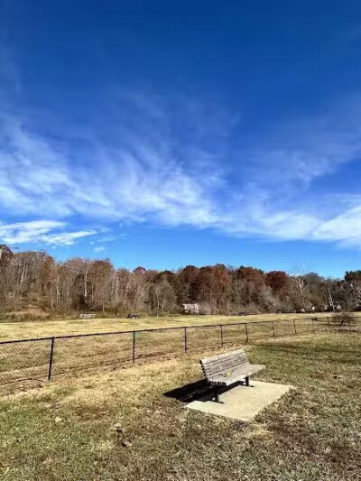 Azalea Road Dog Park - Asheville, NC