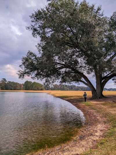 Eastgate Complex - Ashford, AL
