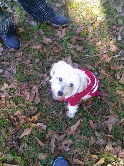 Eastgate Complex - Ashford, AL