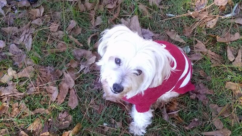 Eastgate Complex - Ashford, AL