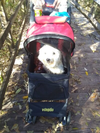 Eastgate Complex - Ashford, AL