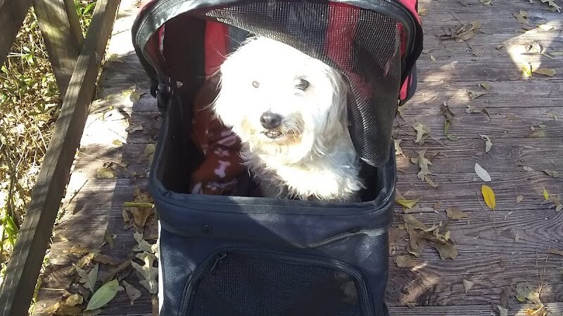 Eastgate Complex - Ashford, AL