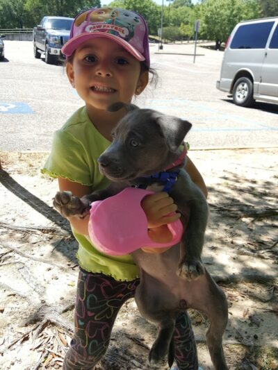 Eastgate Complex - Ashford, AL