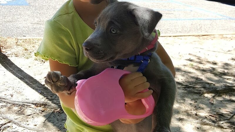 Eastgate Complex - Ashford, AL