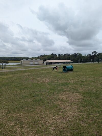 Eastgate Park - Ashford, AL