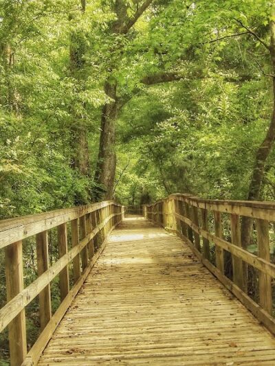 Eastgate Park - Ashford, AL