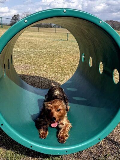 Eastgate Park - Ashford, AL