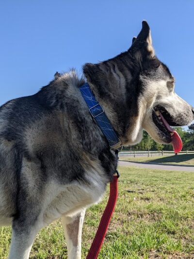 Eastgate Park - Ashford, AL