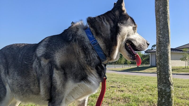 Eastgate Park - Ashford, AL