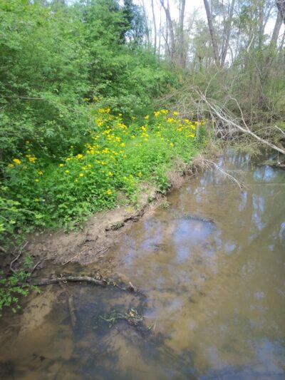 Eastgate Park - Ashford, AL