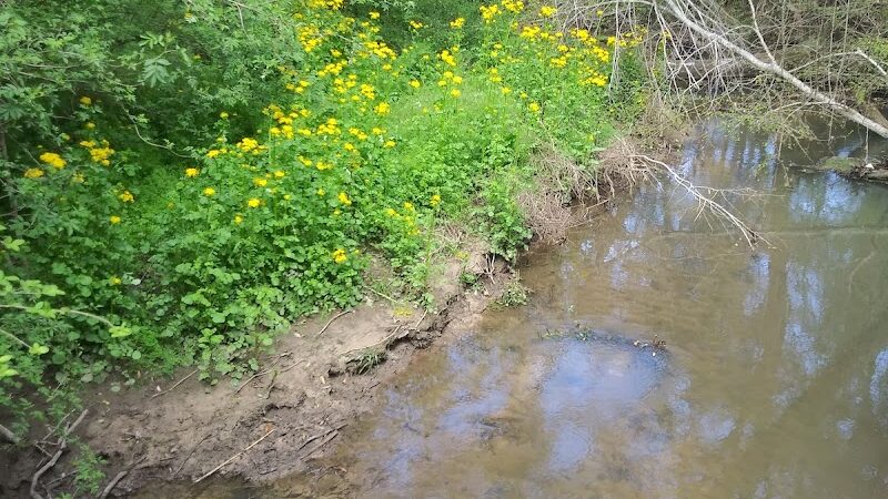 Eastgate Park - Ashford, AL