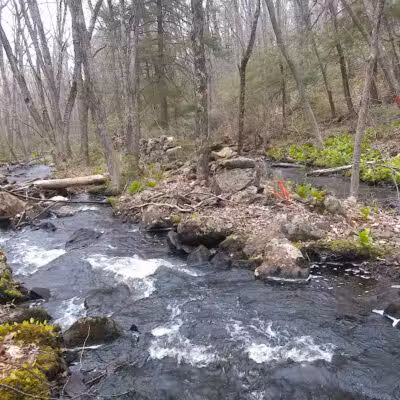 Tinkerville Brook Preserve - Ashford, CT