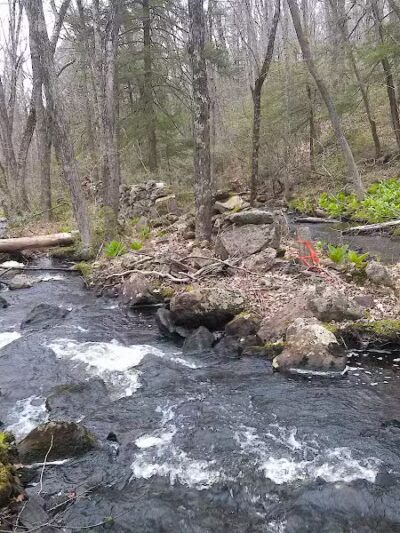 Tinkerville Brook Preserve - Ashford, CT