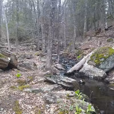 Tinkerville Brook Preserve - Ashford, CT