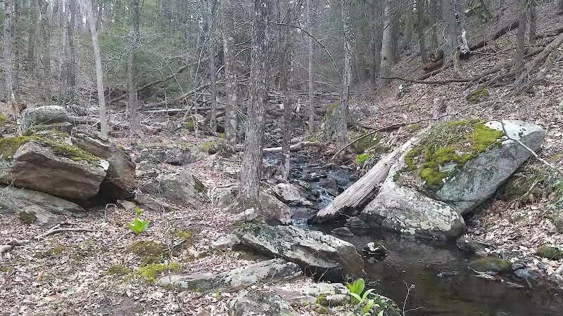Tinkerville Brook Preserve - Ashford, CT
