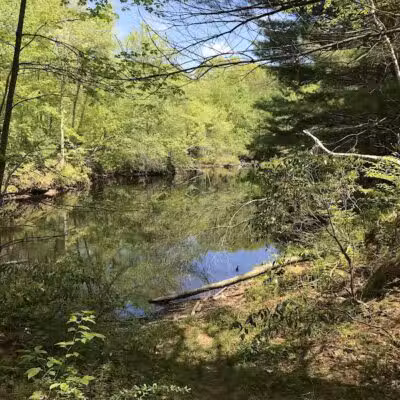 Tinkerville Brook Preserve - Ashford, CT