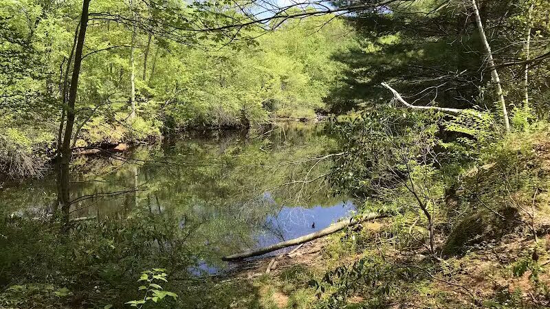 Tinkerville Brook Preserve - Ashford, CT