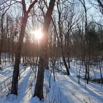 Tinkerville Brook Preserve - Ashford, CT