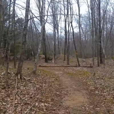 Tinkerville Brook Preserve - Ashford, CT