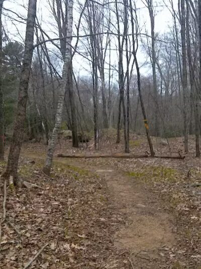 Tinkerville Brook Preserve - Ashford, CT