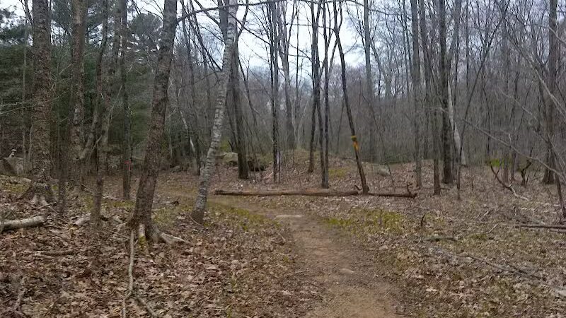 Tinkerville Brook Preserve - Ashford, CT