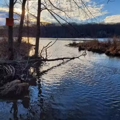 Tinkerville Brook Preserve - Ashford, CT